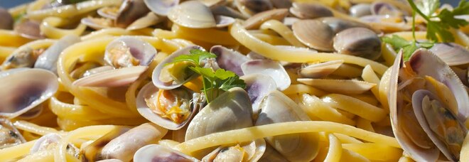 Fiumicino, la Sagra della Tellina torna con una novità: marchio De.C.O. per gli spaghetti
