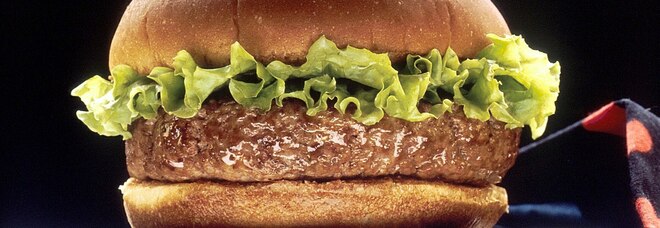 L'hamburger «salva foreste» presto sulla nostra tavola: ecco gli ingredienti