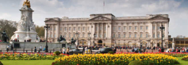 Funghi allucinogeni trovati nel giardino di Buckingham Palace