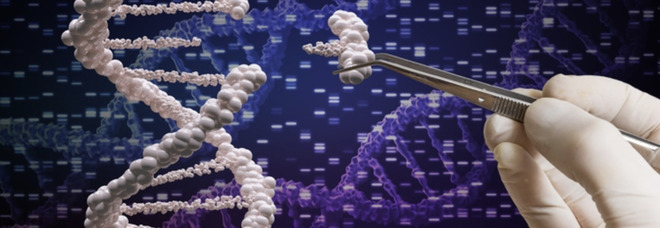 Completata la mappa del genoma umano: ora è possibile leggere tutto il DNA. La scoperta incredibile