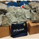 Torino, soldi, Rolex e gioielli per 700mila euro: la polizia scopre il "tesoro" del boss latitante