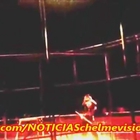 Una tigre assale il domatore: terrore al circo di Madrid VIDEO