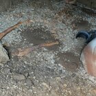 Olii, essenze e profumi: scoperta a Vulci tomba di giovane donna del VI secolo a.C.