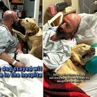 Dolore al petto, va in ospedale e il suo cane lo assiste giorno e notte. Il video che ha commosso il web