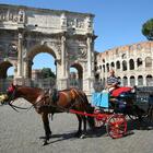 Roma, stop al nuovo regolamente sulle botticelle: consiglio di stato dice no al trasferimento nelle ville storiche