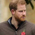 Harry, rivelazione esplosiva sulla famiglia reale: «Felici di mentire per proteggere William»