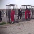 â¢ Nuovo video: 21 curdi in gabbia. "Li decapitiamo"