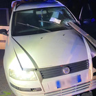 Auto infilzata dalla ringhiera del ponte: gravemente ferito il conducente Foto
