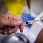 Polio «già da febbraio nelle acque reflue di Londra». È corsa al vaccino, i medici: portate i bambini