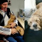 Cane smarrito a Viterbo ritrovato 3 anni dopo in Francia: Ciuffo torna a casa a Natale