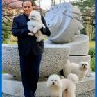 Silvio Berlusconi, la foto a sorpresa per la Giornata Internazionale del cane sui social: «Bau, bau!»