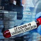 Variante Omicron, 13 casi rilevati in Italia, altri 4 sospetti: stanno tutti bene