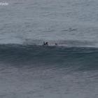 Surfista australiano morso da uno squalo, le immagini dell'attacco