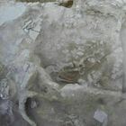 Scheletro di un ragazzo e del suo cane travolti dallo tsunami di 3.600 anni fa: la scoperta in Turchia