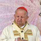 Pedofilia, il cardinale Dziwisz nella bufera appoggia commissione d'inchiesta: «Accertate la verità»