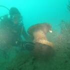 Archeologia, scoperti a Tunisi reperti sottomarini di varie epoche