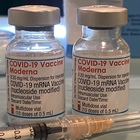 Vaccino, Moderna ha chiesto alla Fda di autorizzare la quarta dose per tutti gli adulti