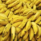 Bimbi di colore fanno rumore in casa: i vicini gettano bucce di banana e li chiamano bestie