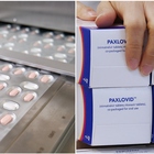 Antivirale Paxlovid, rivoluzione al via: prescrizione dal medico di famiglia e ritiro in farmacia. Ecco a chi serve e perché