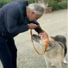 Andrea Bocelli adotta il cane ucraino rimasto sordo per i bombardamenti. Kiev lo elogia: «Ha un grande cuore»