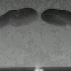 Ammaraggio riuscito per la navicella Crew Dragon di SpaceX nel Golfo 