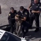 Canguro in fuga per le strade della Florida: i poliziotti lo accerchiano e lo «arrestano» VIDEO