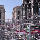 Sul tetto di Notre-Dame, qualche giorno prima dell'incendio