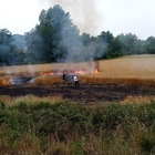 Casalattico: va a fuoco un campo di grano, danni ingenti. Lo sfogo dei proprietari