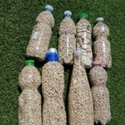 Sardegna, turisti spagnoli rubano ciottoli di Cala Mariolu: sorpresi con 8 bottiglie piene di sabbia