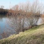 Auto finisce nel fiume Adige, morto un ragazzo: tragedia nel padovano