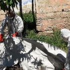 Catania, trovati morti in campagna: uccisi a colpi di fucile all'addome
