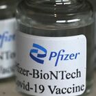 Covid, Pfizer: vaccino contro la variante Omicron pronto a marzo