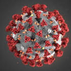 Coronavirus, i due scenari su “Nature”: «Colpirà dalle 39mila alle 190mila persone»