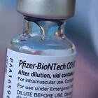 Pfizer chiede alla Fda l'autorizzazione per somministrare il vaccino da 5 a 11 anni