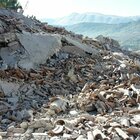 Terremoto L'Aquila, risarcimento di 8 milioni di euro ai familiari delle vittime: «Frasi rassicuranti dalla Protezione Civile»