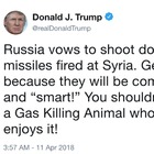 Il tweet: «La Russia si prepari, arrivano i missili»