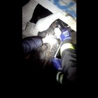 Cane con la testa incastrata liberato dai Vigili del Fuoco