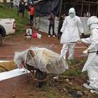 Ebola, l'Oms: emergenza internazionale