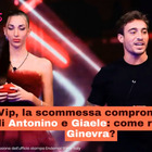 Gf Vip, la scommessa compromettente di Antonino Spinalbese e Giaele De Donà: come reagirà Ginevra Lamborghini?