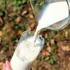 Tumore alla prostata, bere latte aumenta il rischio del 60%