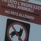 Ancona, vietato far entrare gli animali nell'ascensore: «Possono trasmettere il coronavirus». Scoppia la polemica