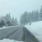 La tempesta di neve a Livigno VIDEO