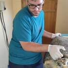 Malore dopo cena, morto Enrico: era il “papà” delle tartarughe del museo di Storia Naturale