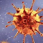 Variante Delta, i virologi: «Non vaccinati contagiati entro 2 anni, trasmissione elevatissima»