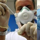 Test rapidi nelle farmacie del Lazio, l'annuncio della Regione: «Disponibili da domani»