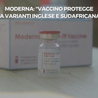 Moderna, il vaccino protegge dalle varianti inglese e sudafricana