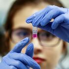 Corsa al vaccino, AstraZeneca avvia nuovo test a base di anticorpi