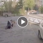 Il brutale attacco di un pitbull a una bimba, la mamma la salva ma il cane la azzanna VIDEO CHOC