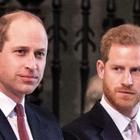 Lady Diana, spuntano le ultime volontà: «William non deve fare il Re, meglio Harry»