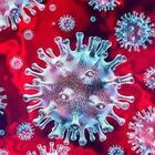 Covid, il virus nelle particelle (che sfuggono alle mascherine) è infettivo